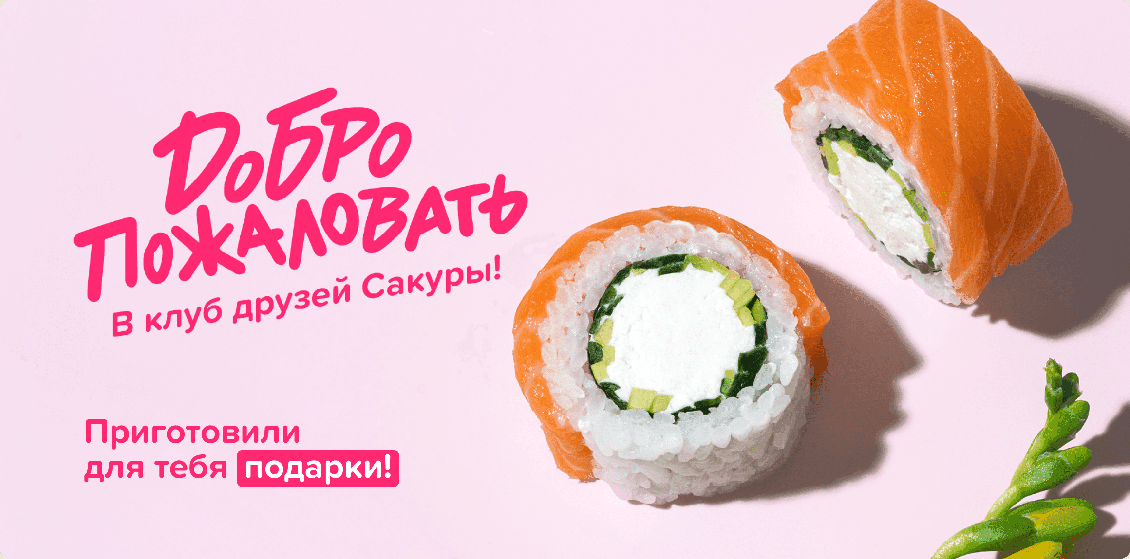 Добро пожаловать в клуб друзей Сакуры!
